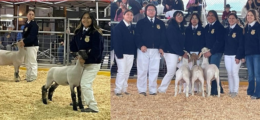 Students posing with livestock