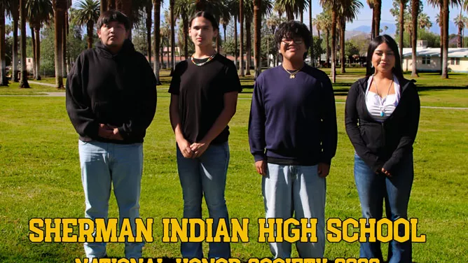 Four students stand side by side on a grassy lawn lined with tall palm trees on a sunny day.